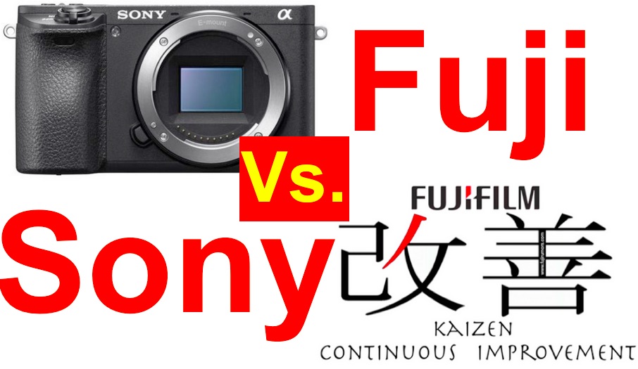 fuji-sony