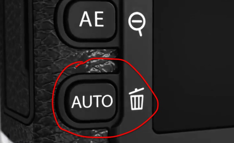 auto