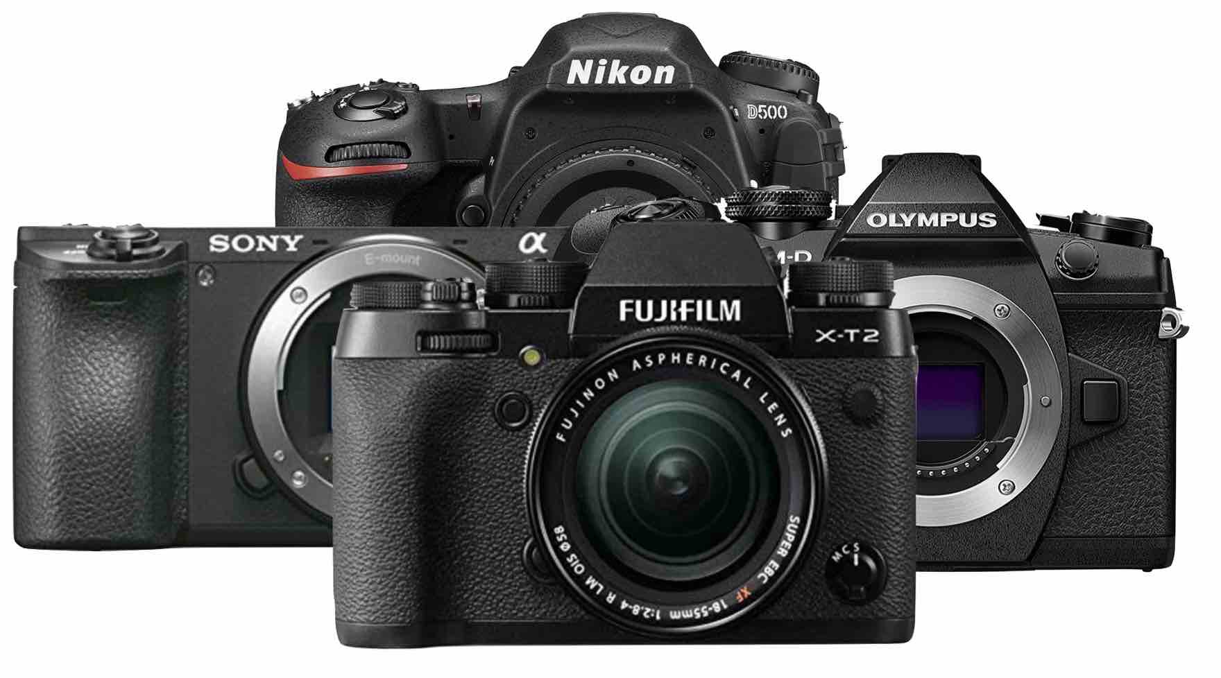 Сервис фотоаппаратов nikon undefined. Nikon Canon Fujifilm. Fujifilm vs Nikon. Сони Фуджи Олимпус.