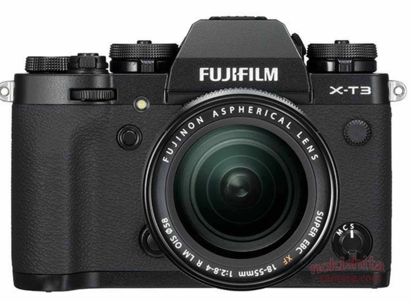 Fuji-1.jpg