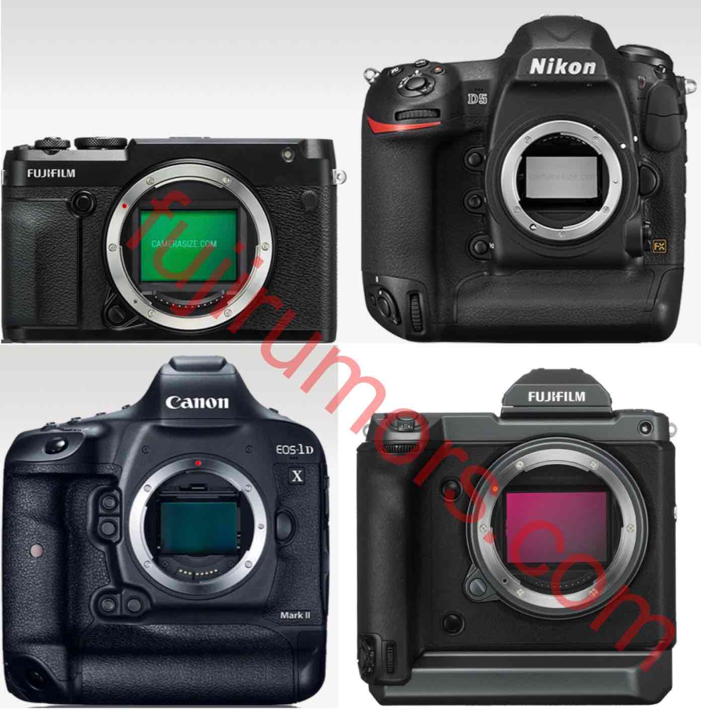 Size Comparison: Fujifilm 100S vs Sony A7III, Nikon D5, Canon 1DX, Canon EOS R, Nikon Z7, Nikon D850, Fuji GFX 50R - Fuji Rumors