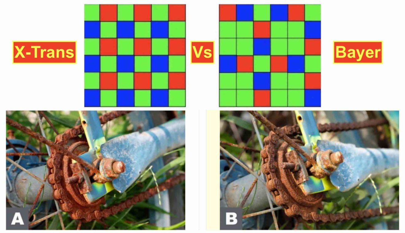 Fujifilm XTrans vs Bayer Sensor Quick Blind Test Comparison Which One