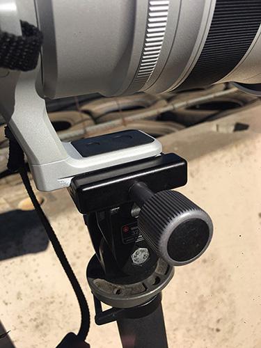 Fujinon XF200 mounted via its Arca-Swiss compatible lens foot to a Really Right Stuff monopod clamp