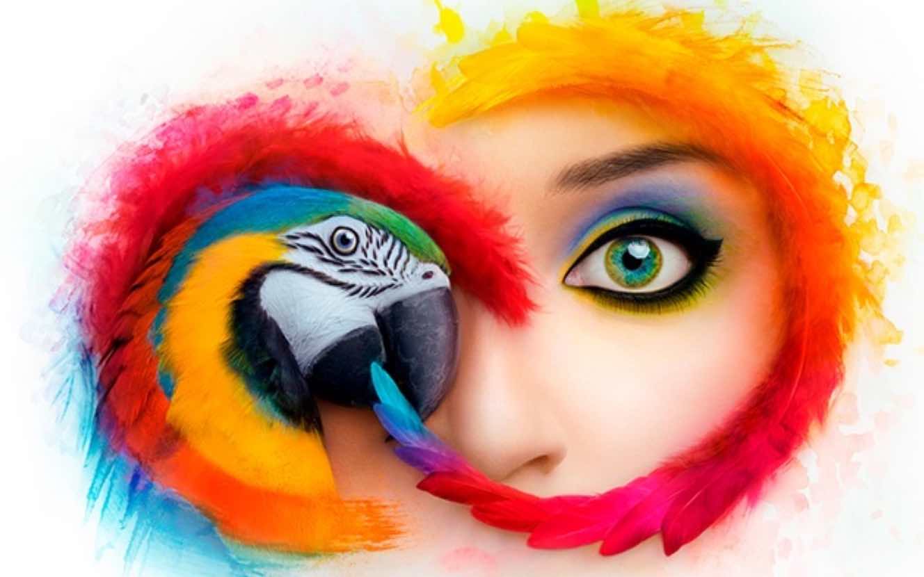Adobe Warning About Potential Legal Action For Using Older Creative adobe-warning-about-potential-legal-action-for-using-older-creative