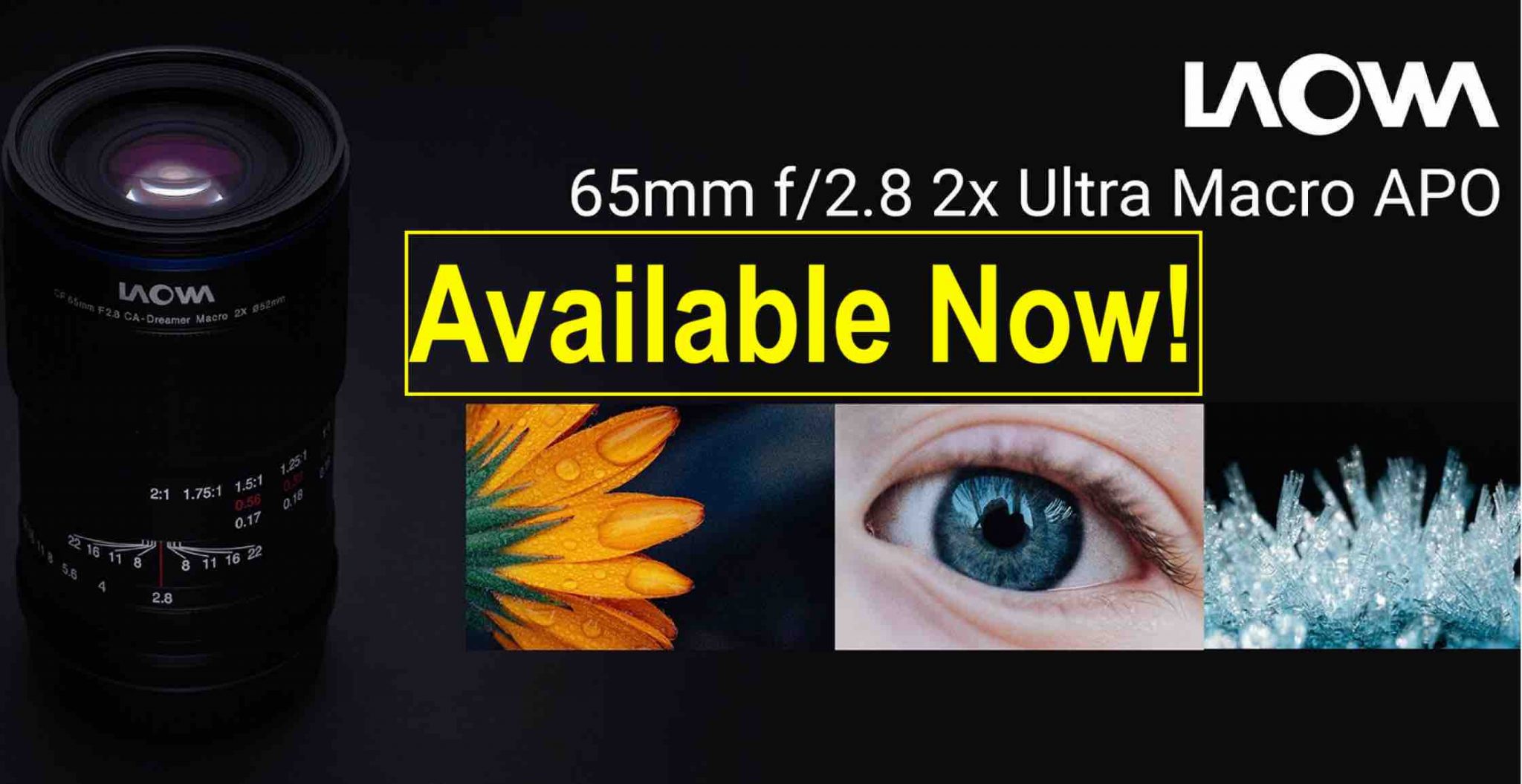Venus Optics Laowa 65mm f/2.8 2x Ultra Macro APO Available - Fuji Rumors