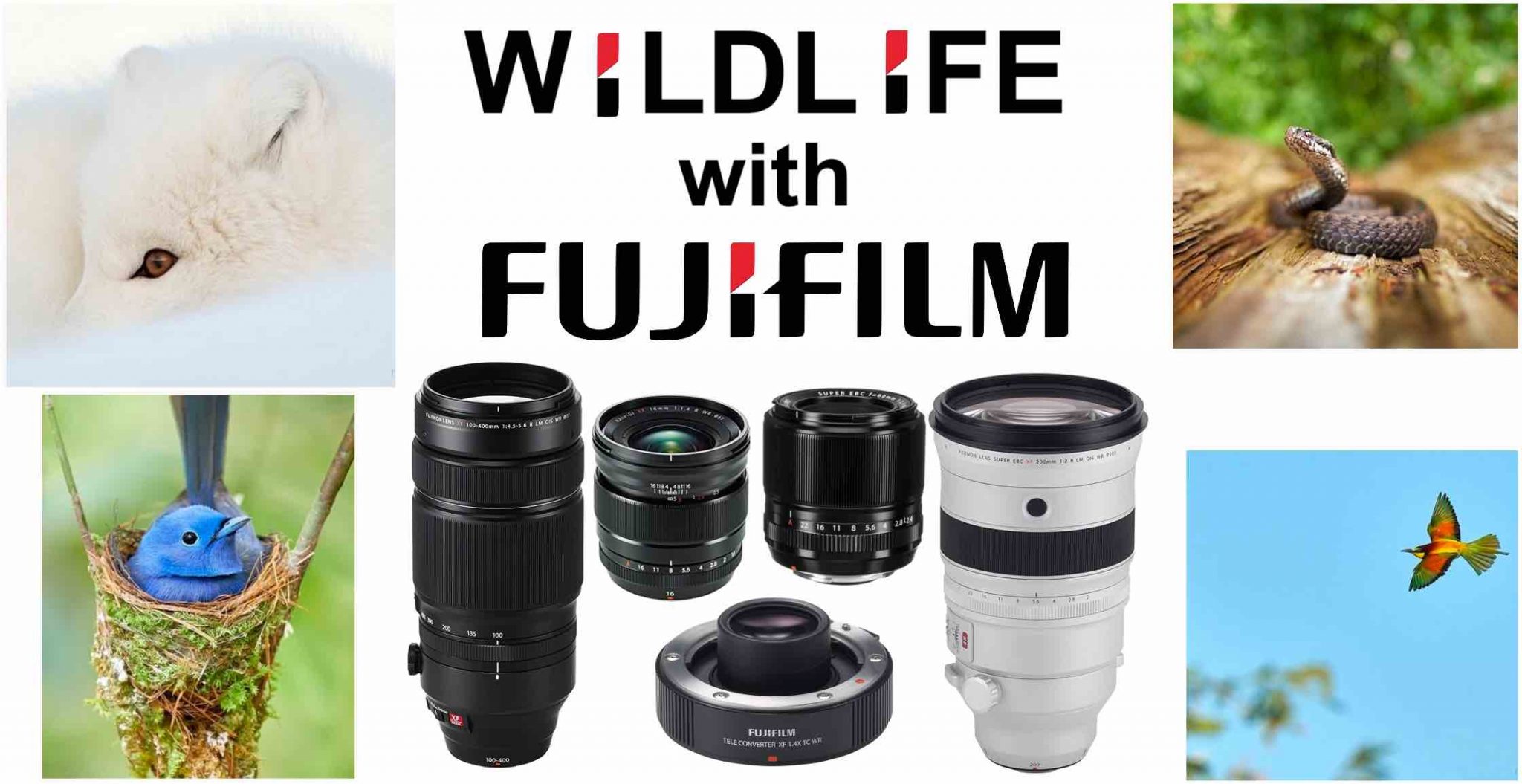 fujifilm camera for wildlife photography