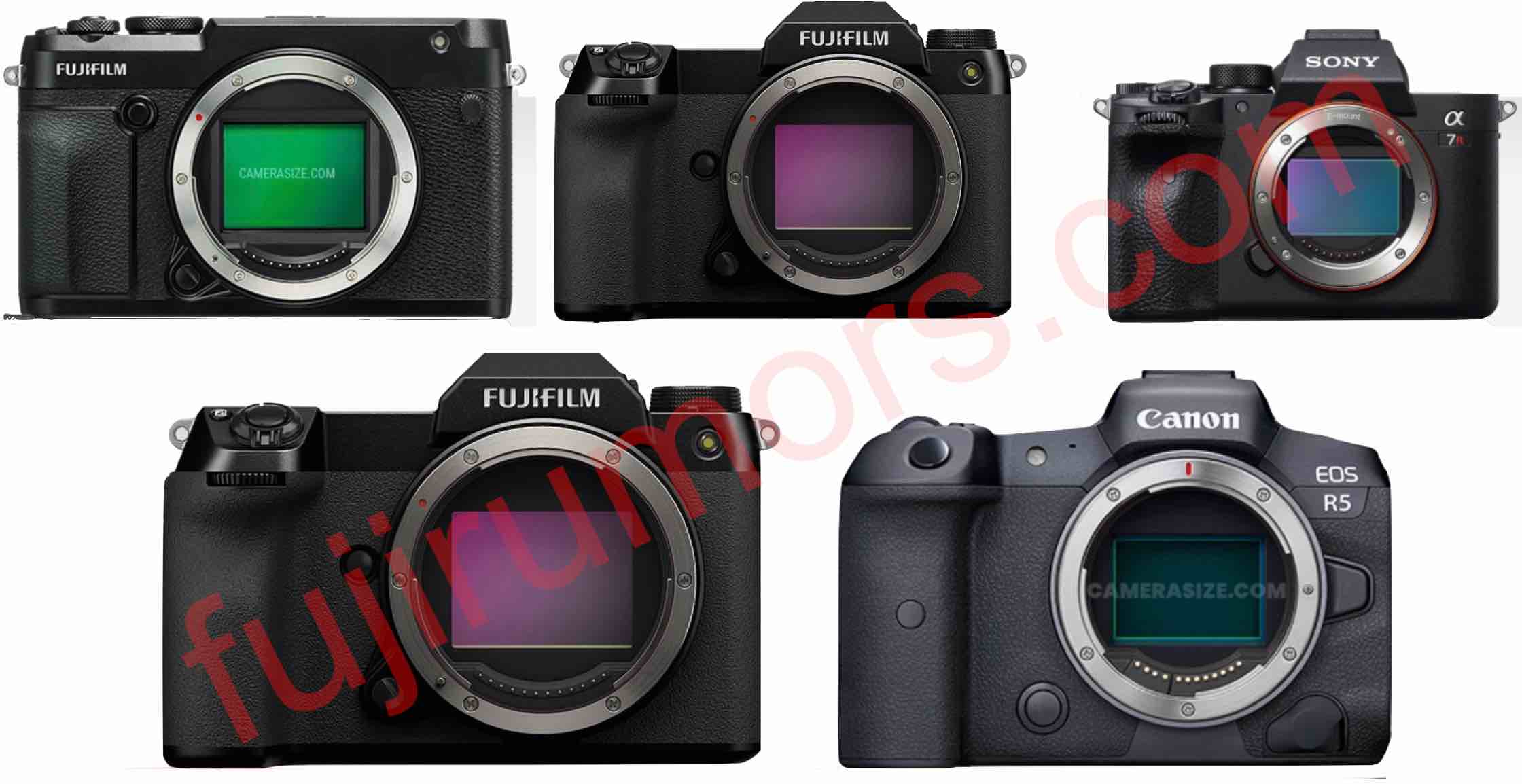compare canon r5 and sony a7riv