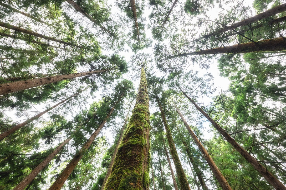 Photography at the Archipelago of the Azores Save 10 with