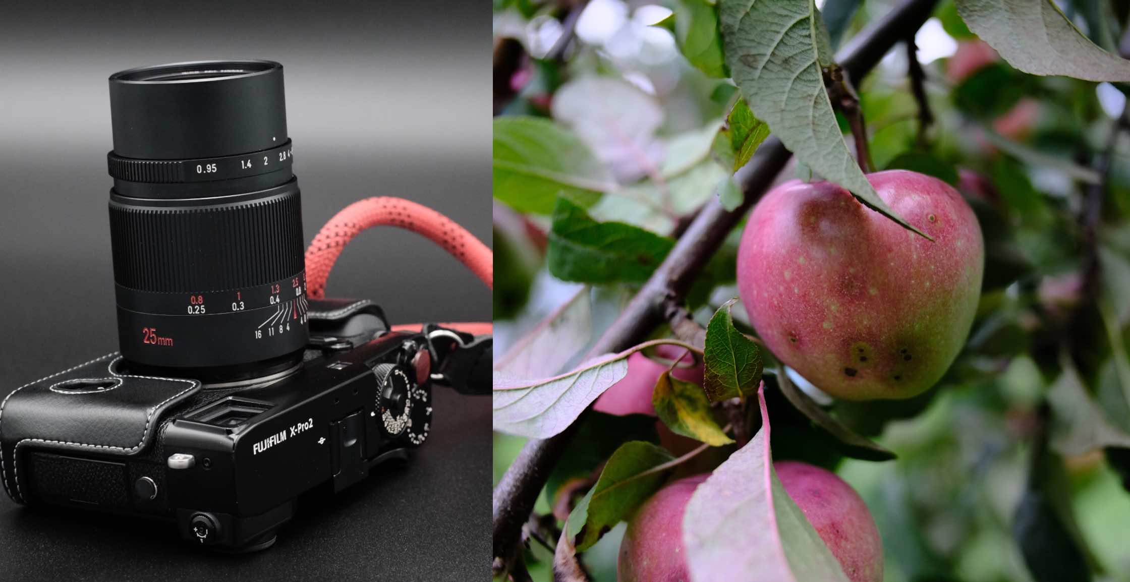 7Artisans 25mm f/0.95 First Review, Product and Sample 7Artisans 25mm f/0.95 First Review, Product and Sample