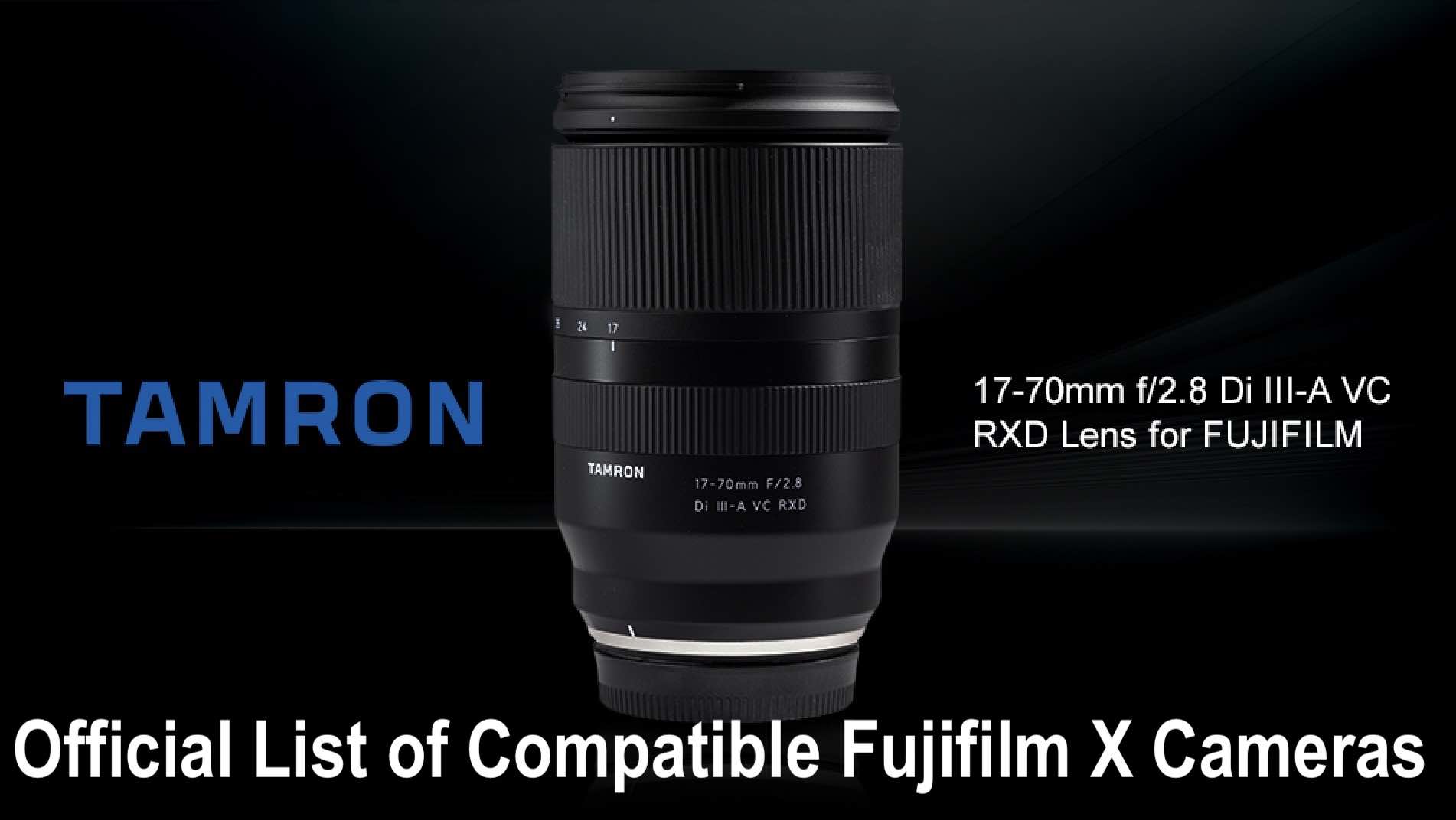 Tamron 17-70mm F2.8 VS Sony 16-55mm F2.8 Comparison 