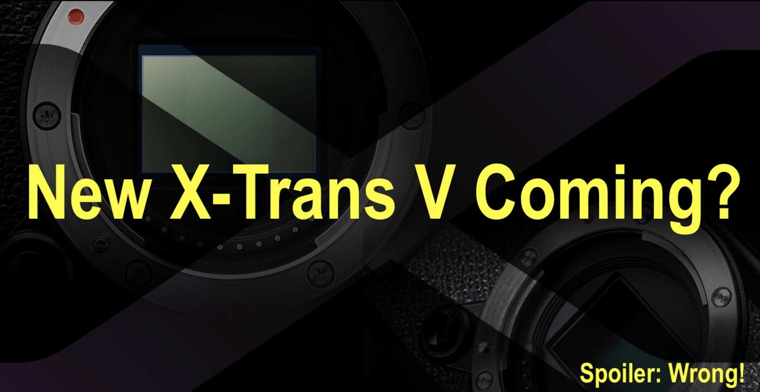 「*⋆❁*Cameron*❁⋆*～断捨離中」 547a7407-a8de-4c18-bd09-