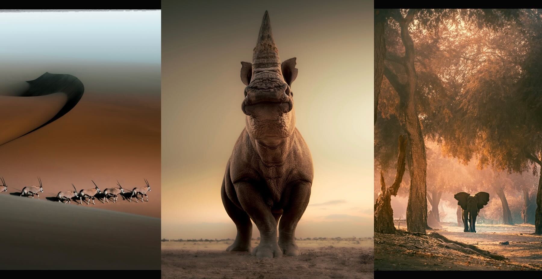 WARNING: The Fujifilm X-T5 Struggles Badly With Wildlife